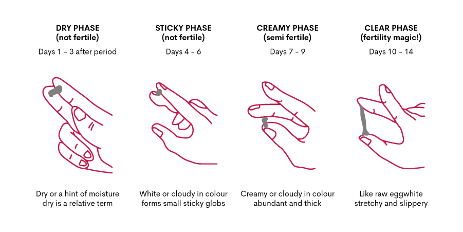 Vaginal Discharge Types & Cycles - Complete Guide | WUKA Vaginal Discharge Types & Cycles - Complete Guide | WUKA