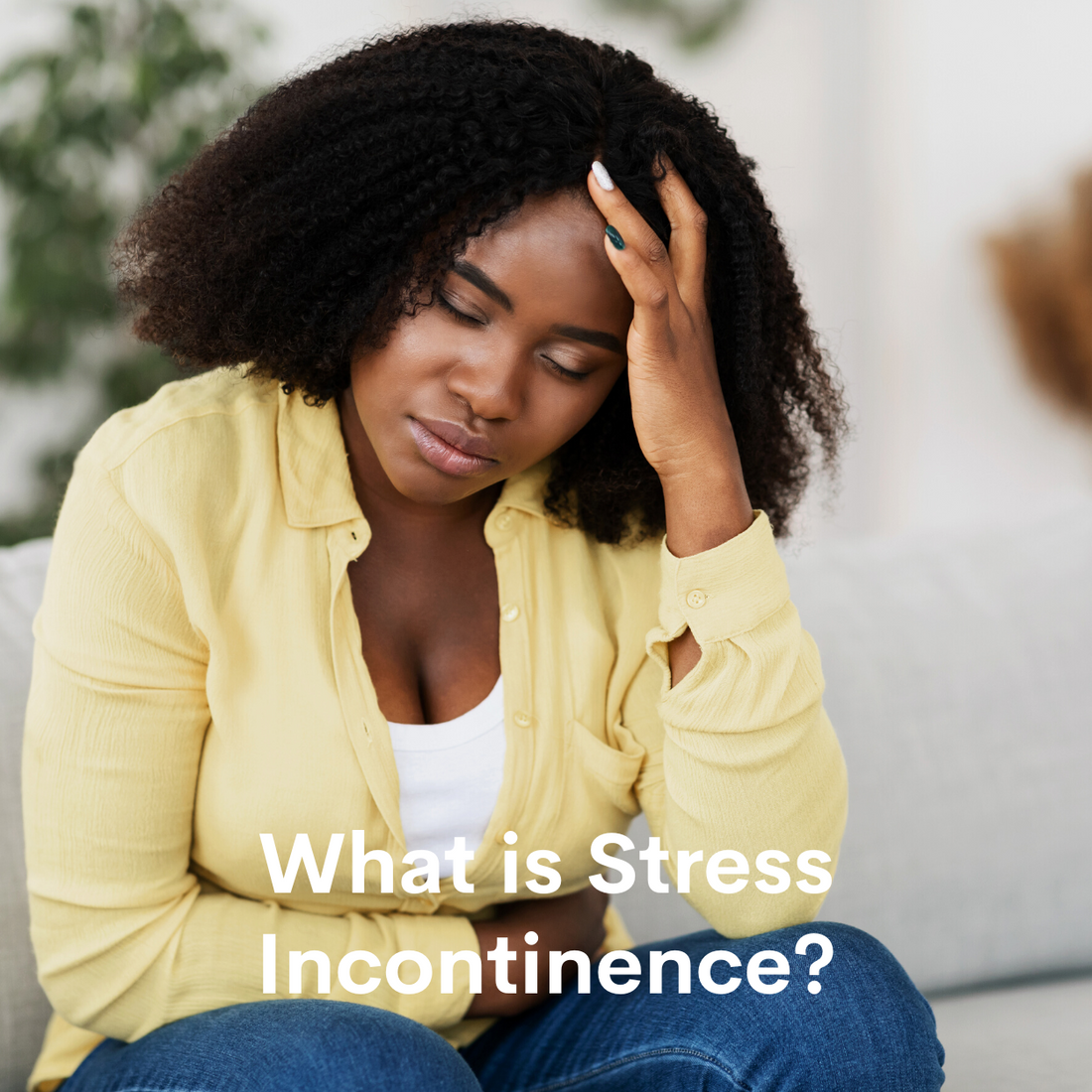 What is Stress Incontinence?