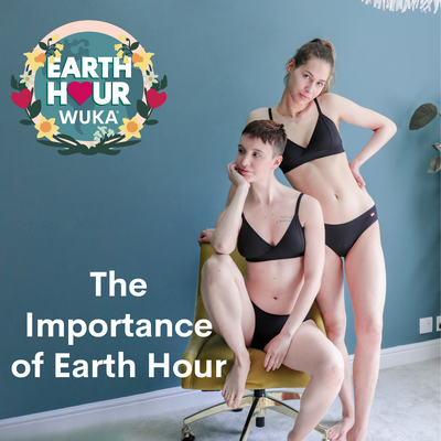 The Importance of Earth Hour